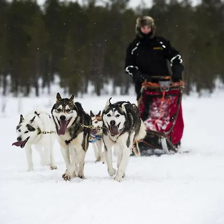 Hotel Kittilae Hotel 3*