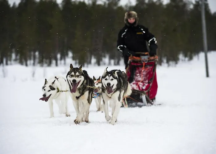 Hotel Kittilae ホテル 3*